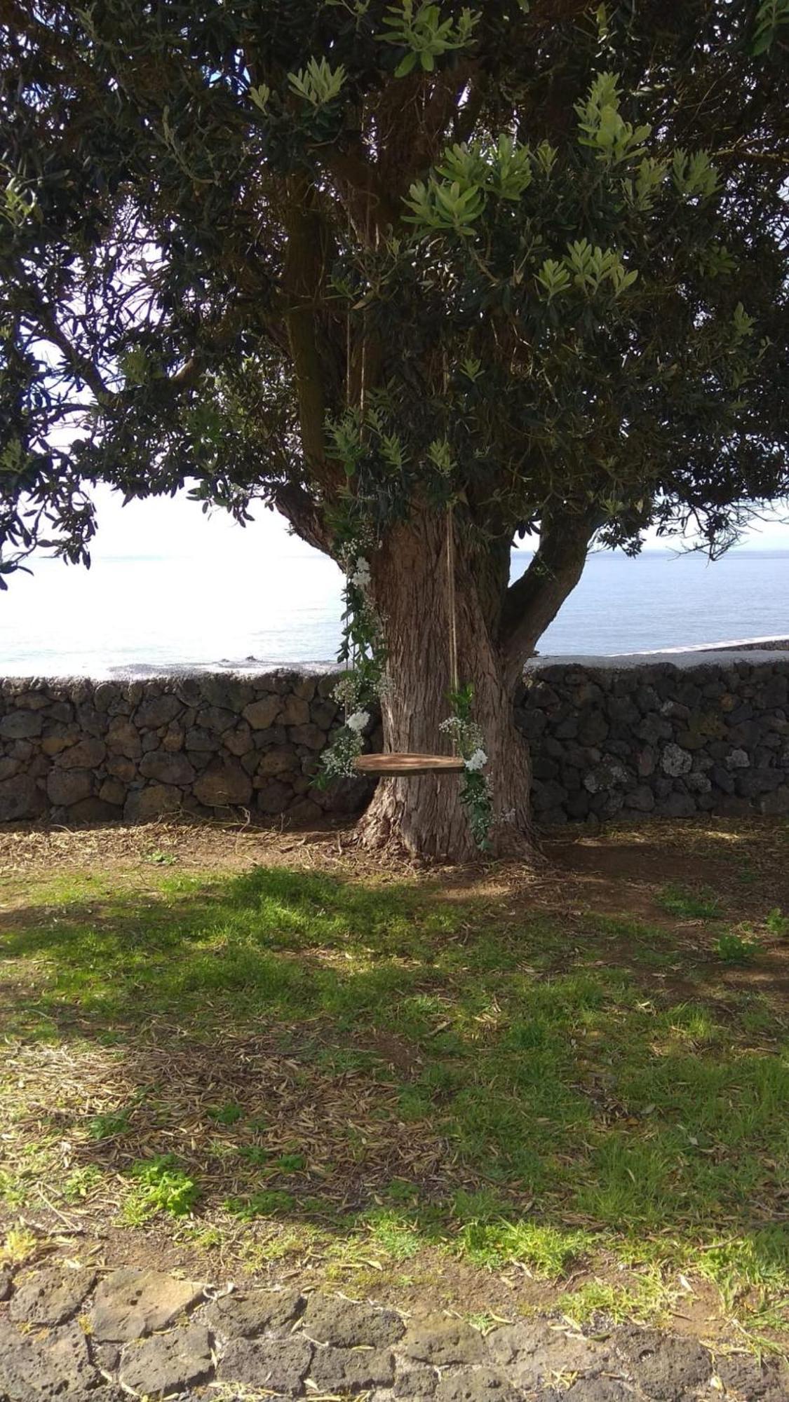 Alluar Lodge Angra do Heroísmo Dış mekan fotoğraf